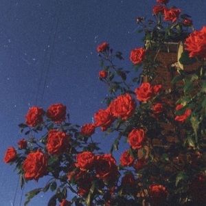 Meet your Posher, Aj